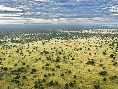 Badingilo-National-Park-South-Sudan-C-African-Parks-scaled-1