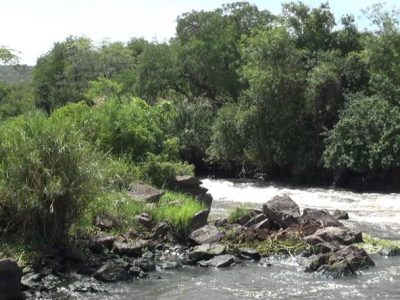 Nimule-National-Park