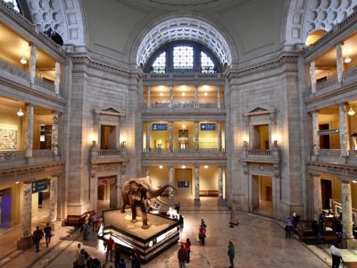 michellefortephotography_overview-of-museum-of-natural-history-atrium_mydccool-via-crowdriff